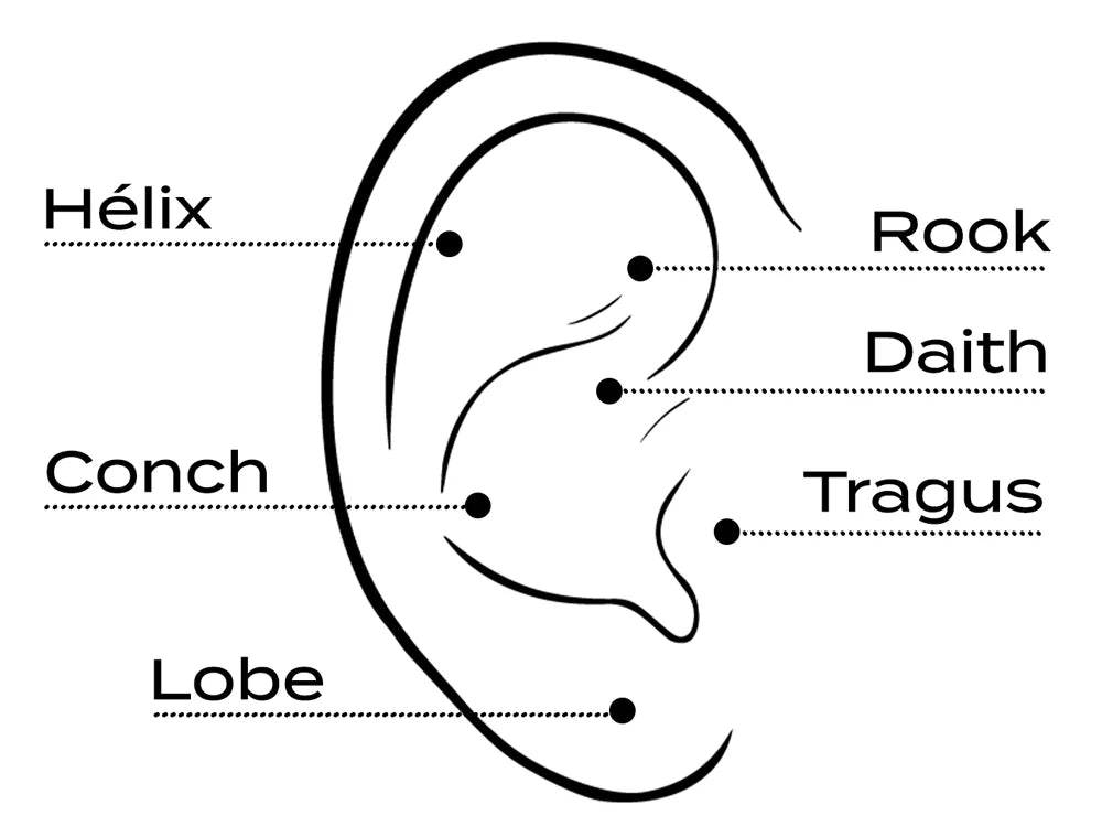 Guide des Tailles des Différents Piercings